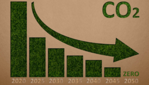 gráfica de color verde oscuro que refleja la reducción de CO2 hasta alcanzar la neutralidad climática en 2050